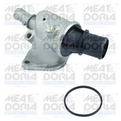 Thermostat, coolant